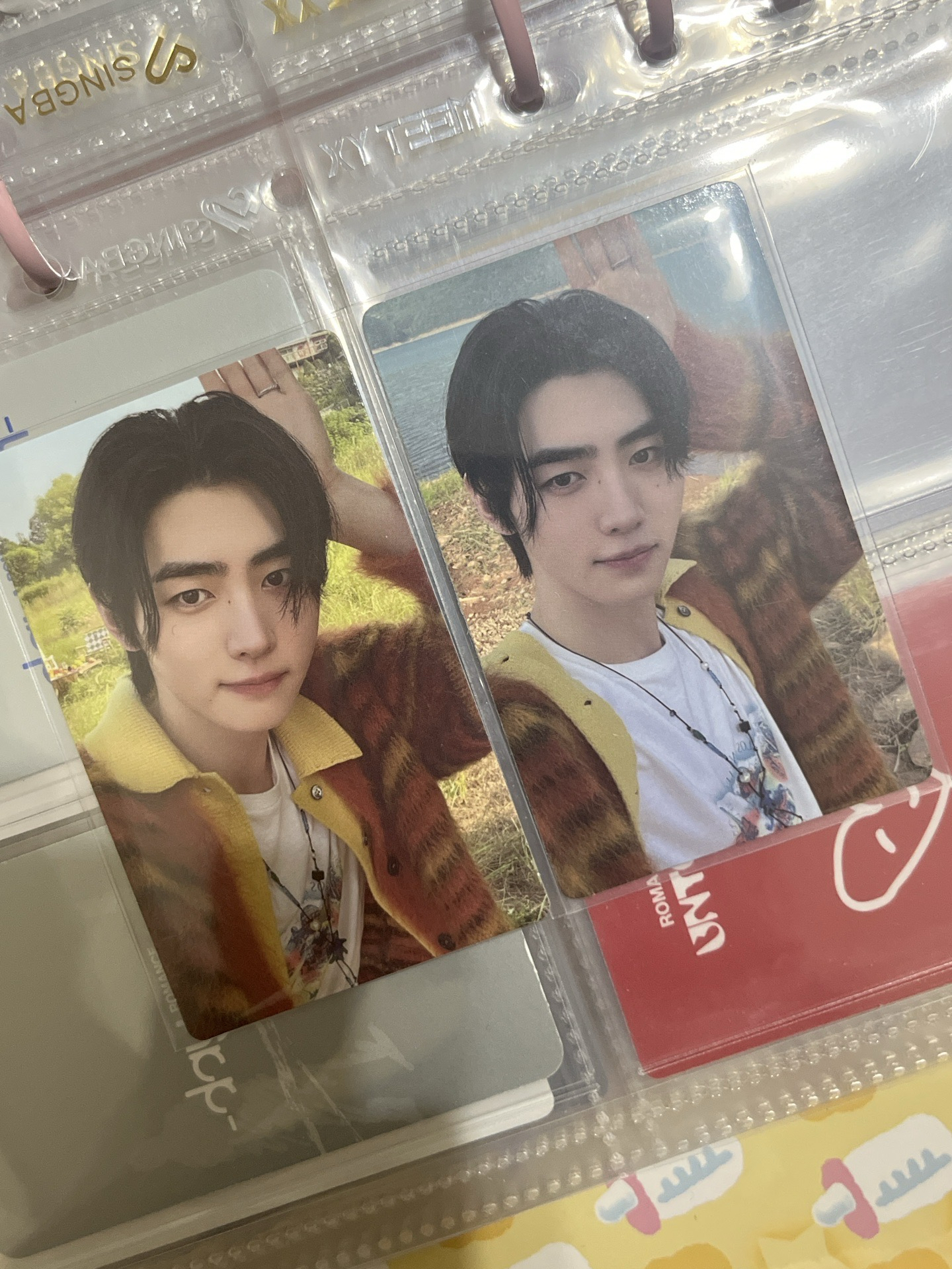 迷五兔耳專卡🐰