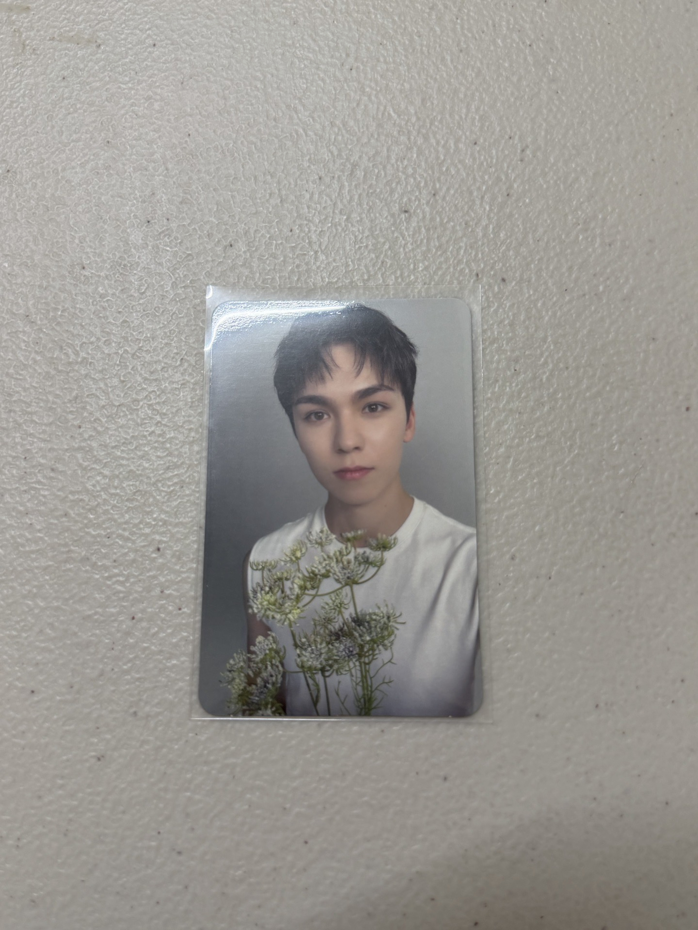 率 精選專克拉盤隨機卡