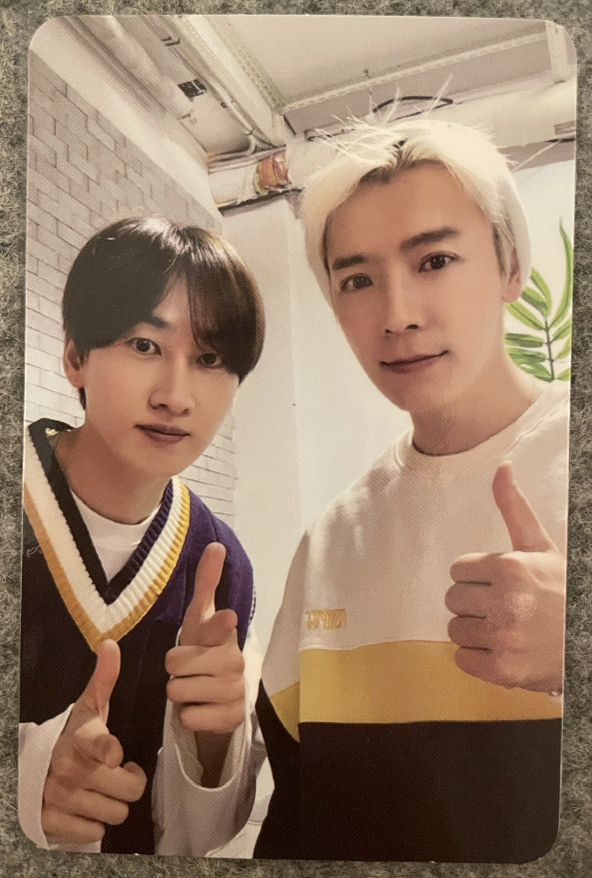 Super Junior D&E 第一張正規專輯改版Countdown zero 專輯卡 一組三張