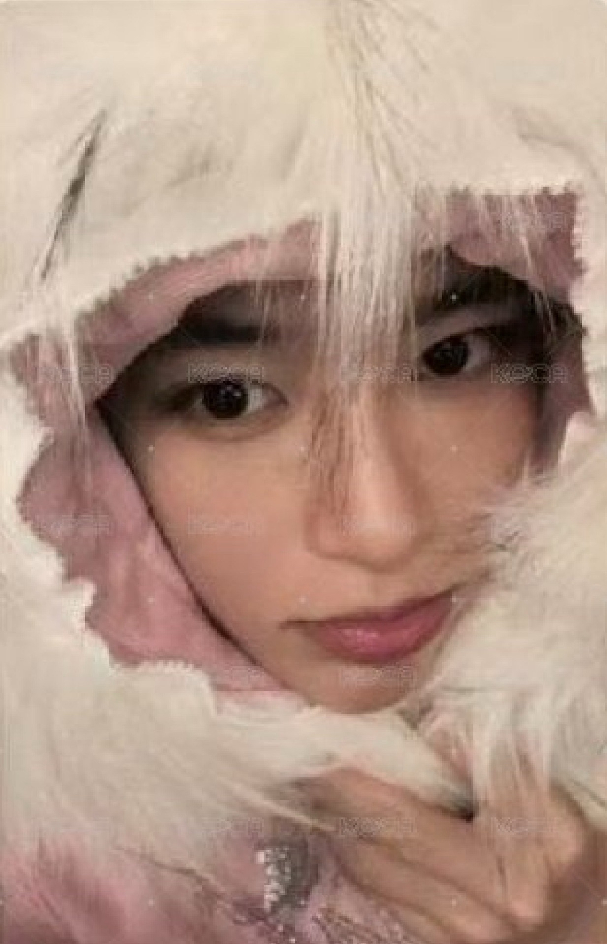 nctwish sion pb預售禮