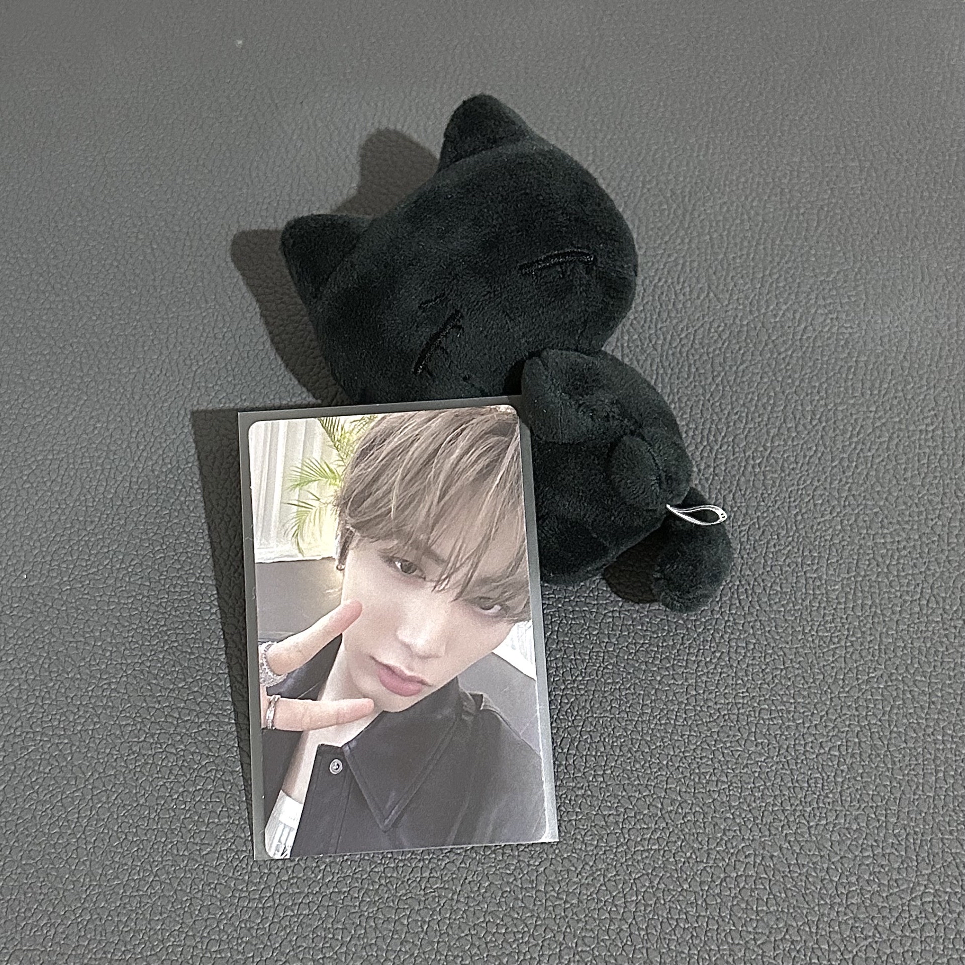 taesan wvs2.0幸運卡