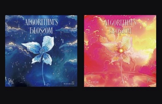 迷二紅藍一套已拆全專（最晚4/6出貨）