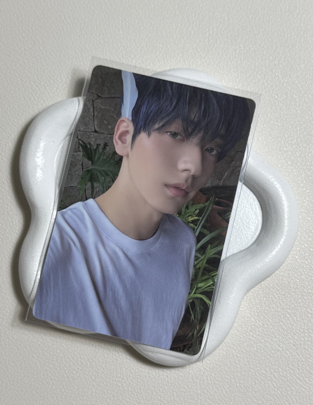 秀彬天使專卡🤍