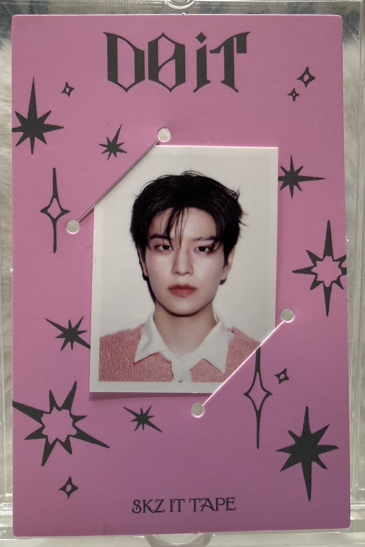 狗狗 DO IT 證件照