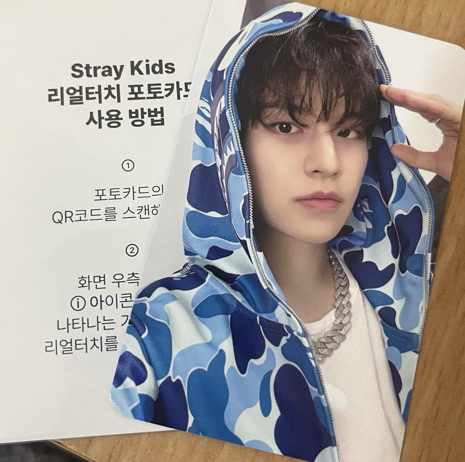 藍色衣服禮貌狗