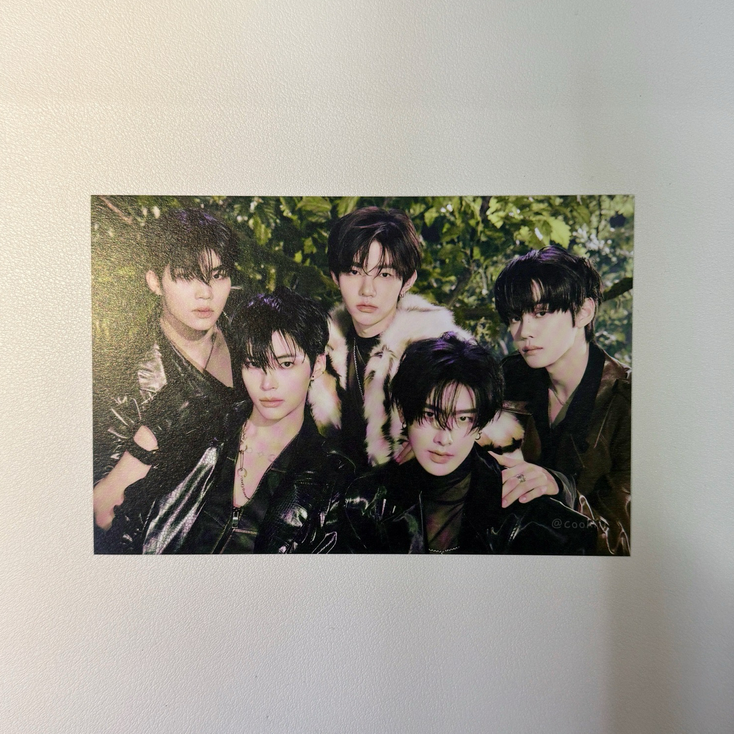 迷五 seek ver. 小分隊 明信片