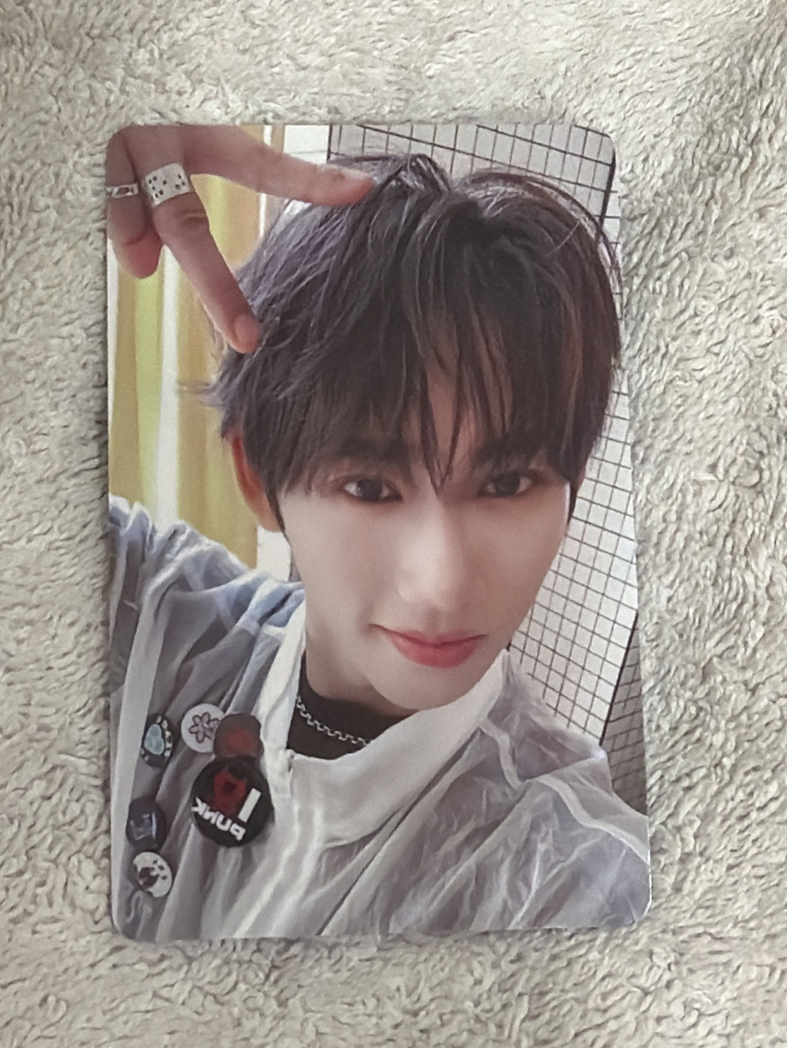 义翔 km貓耳特典