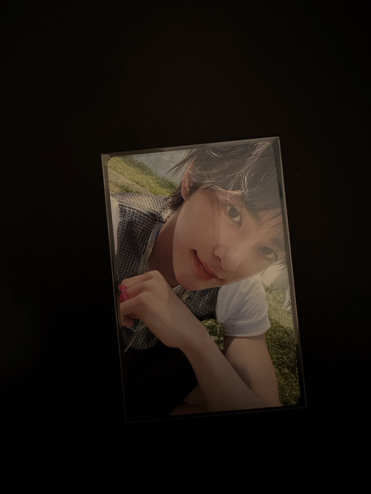 cortis 微微一笑鎬傾城 日咖預售特典