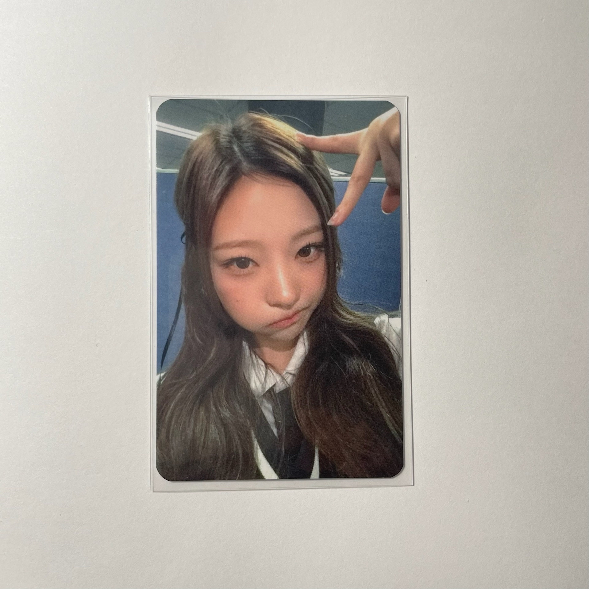 Stella Focus sw 簽售卡 