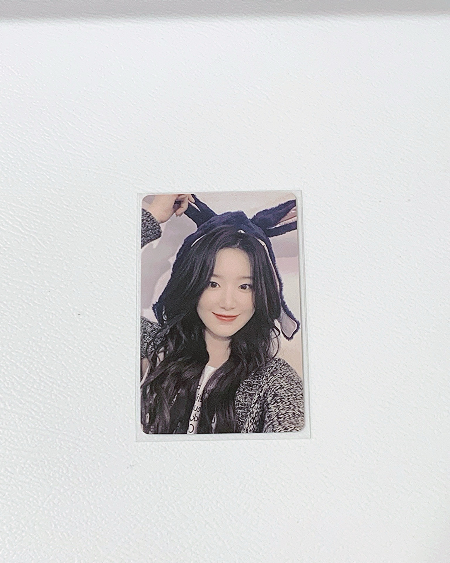 正規二/一直娛小毛驢