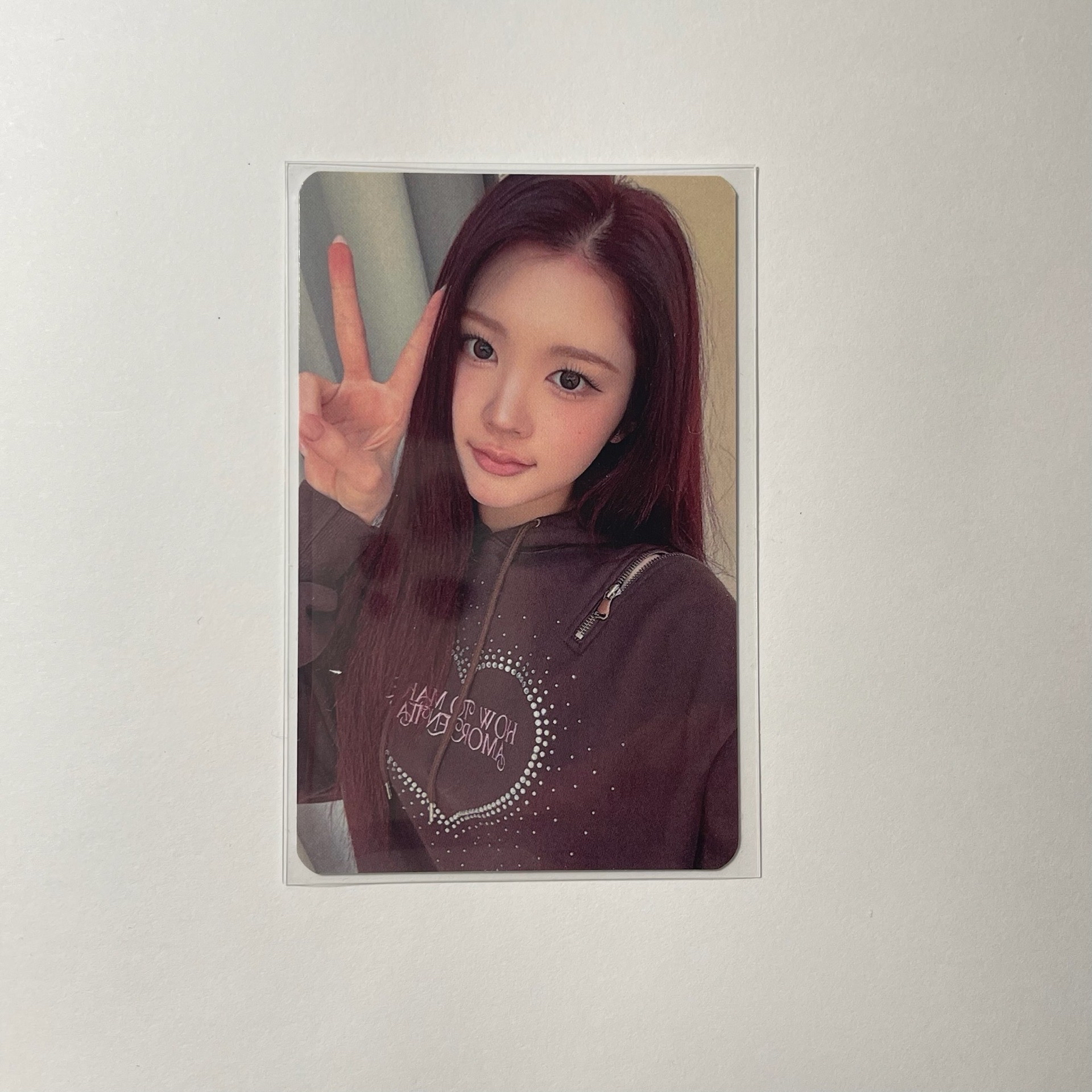 Ana Focus ia 簽售卡 