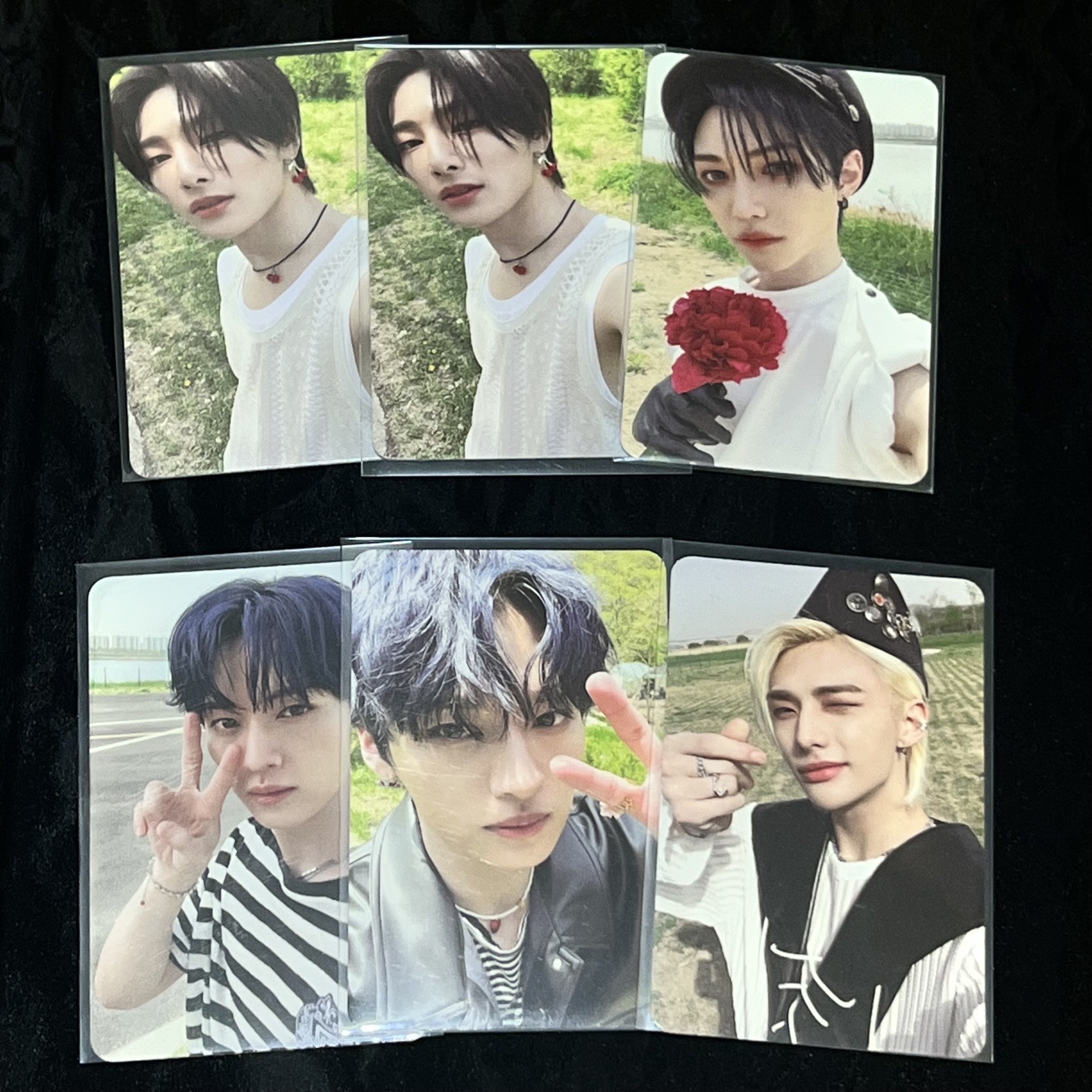 maxident專卡小盤