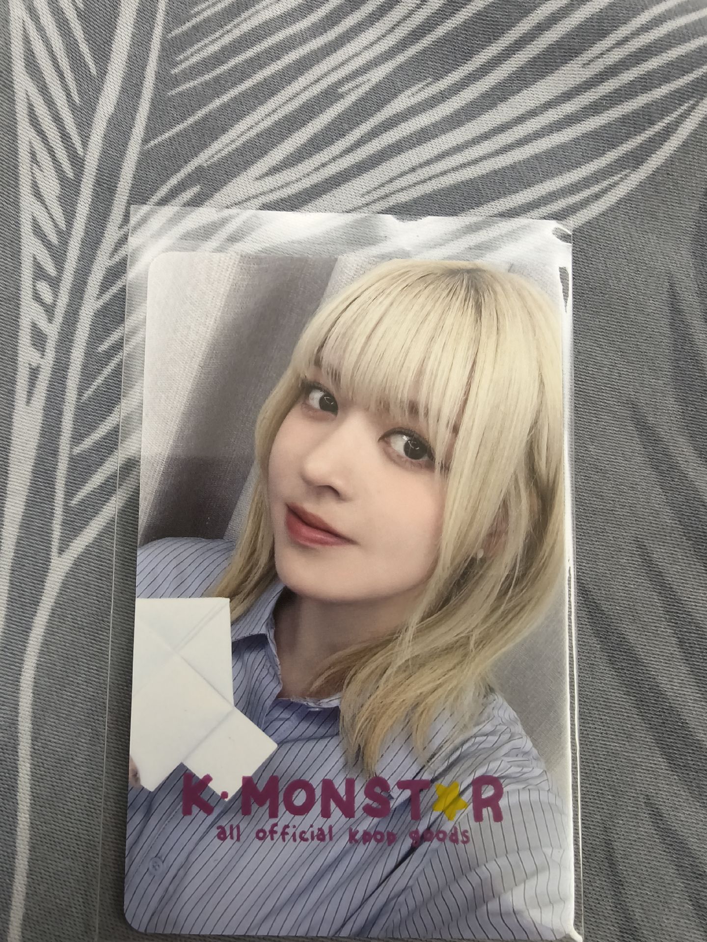 告白紙條（中背）