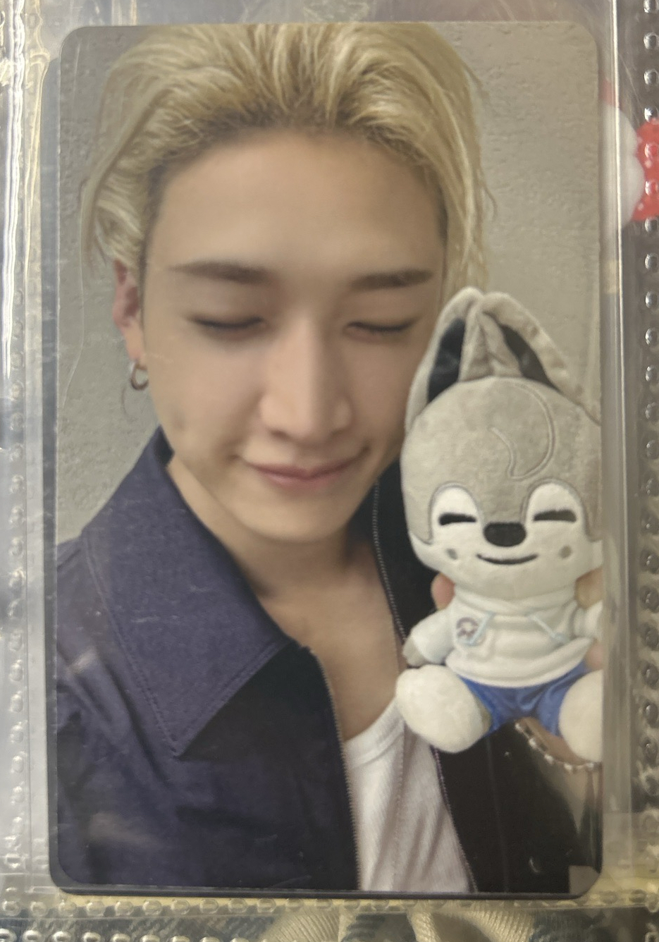 動物方程式滿額