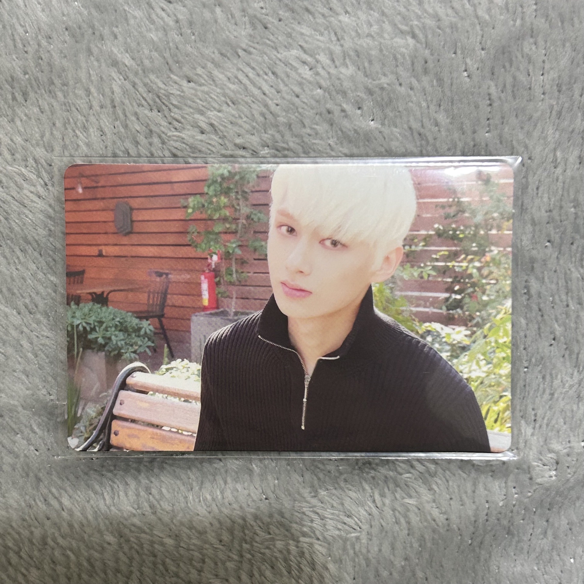 正二 專輯卡 橘版俊