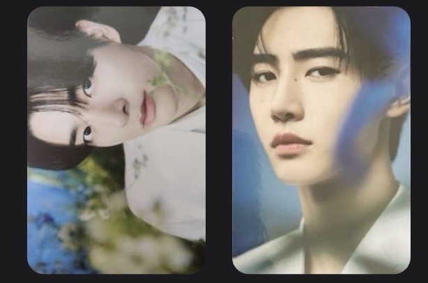 恩海盆 WTL FINAL 官拍隨機卡