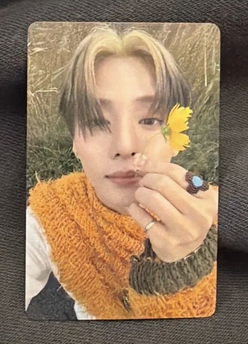 ALD1 羽田機場場限 相沅