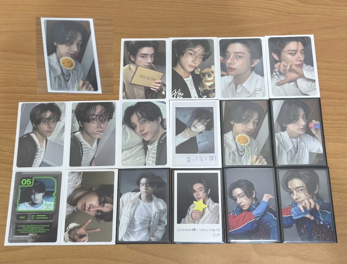 沈載倫專卡小盤十七張