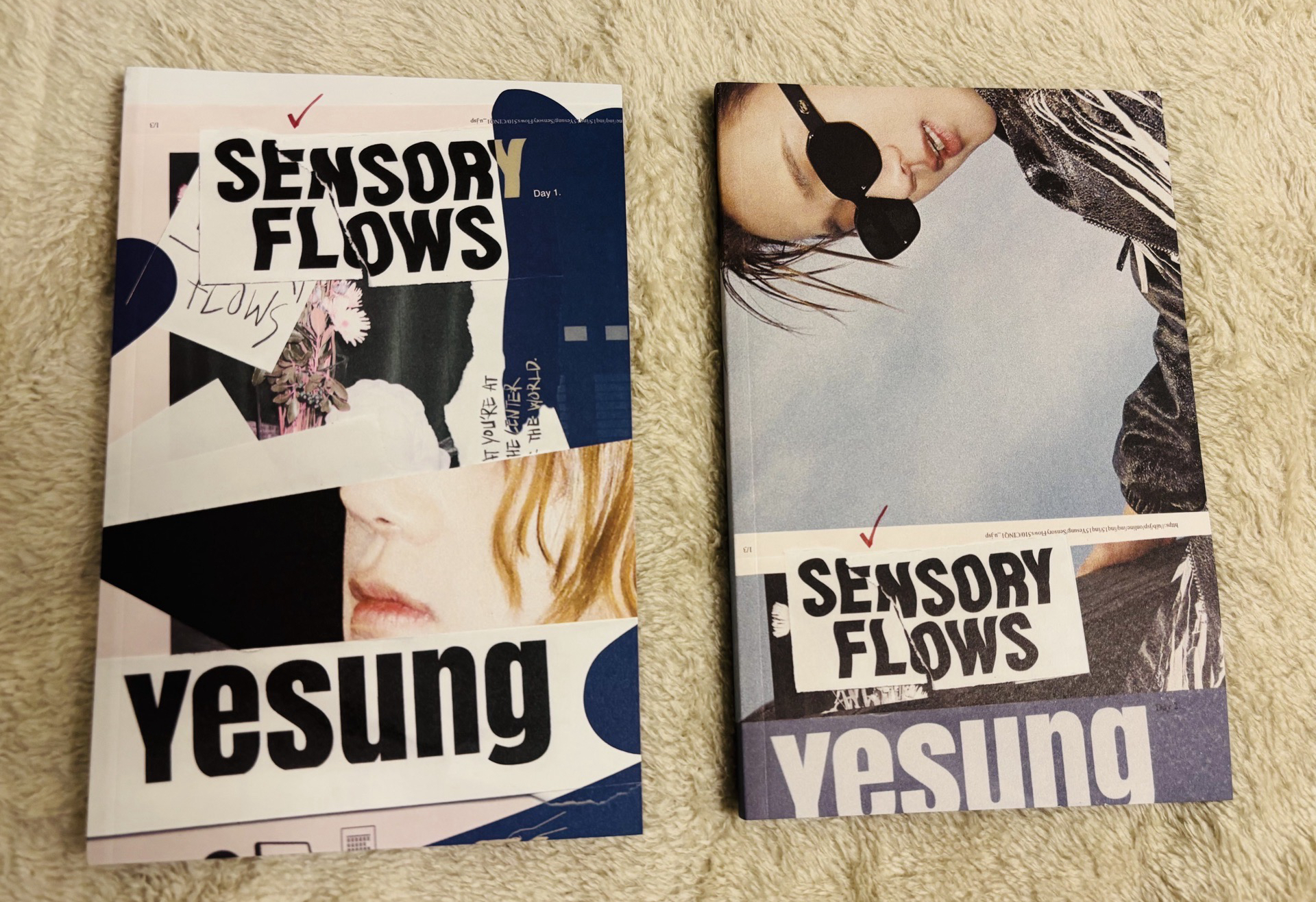 藝聲 正規一 空專無卡 兩版合售