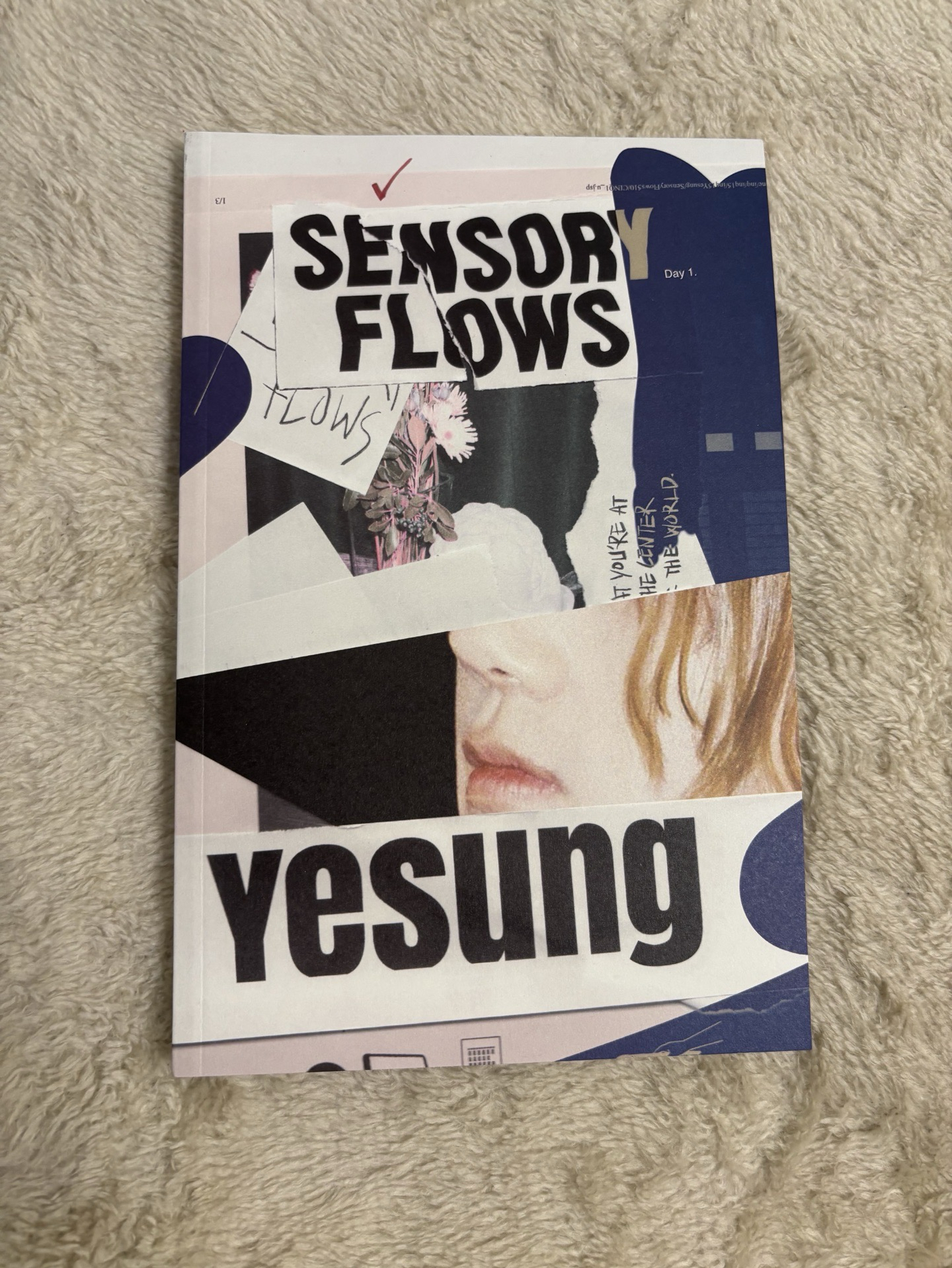 藝聲 正規一空專無卡 微損