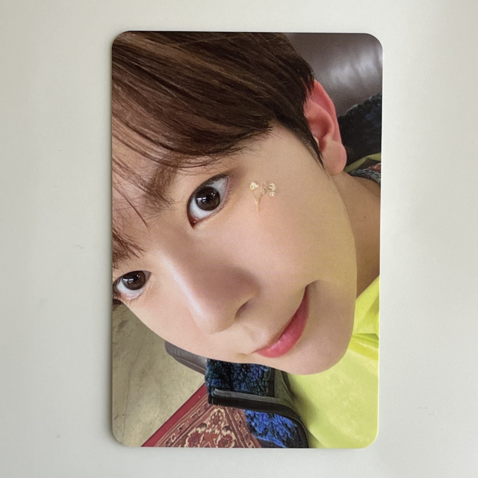 🦭 songbird letter