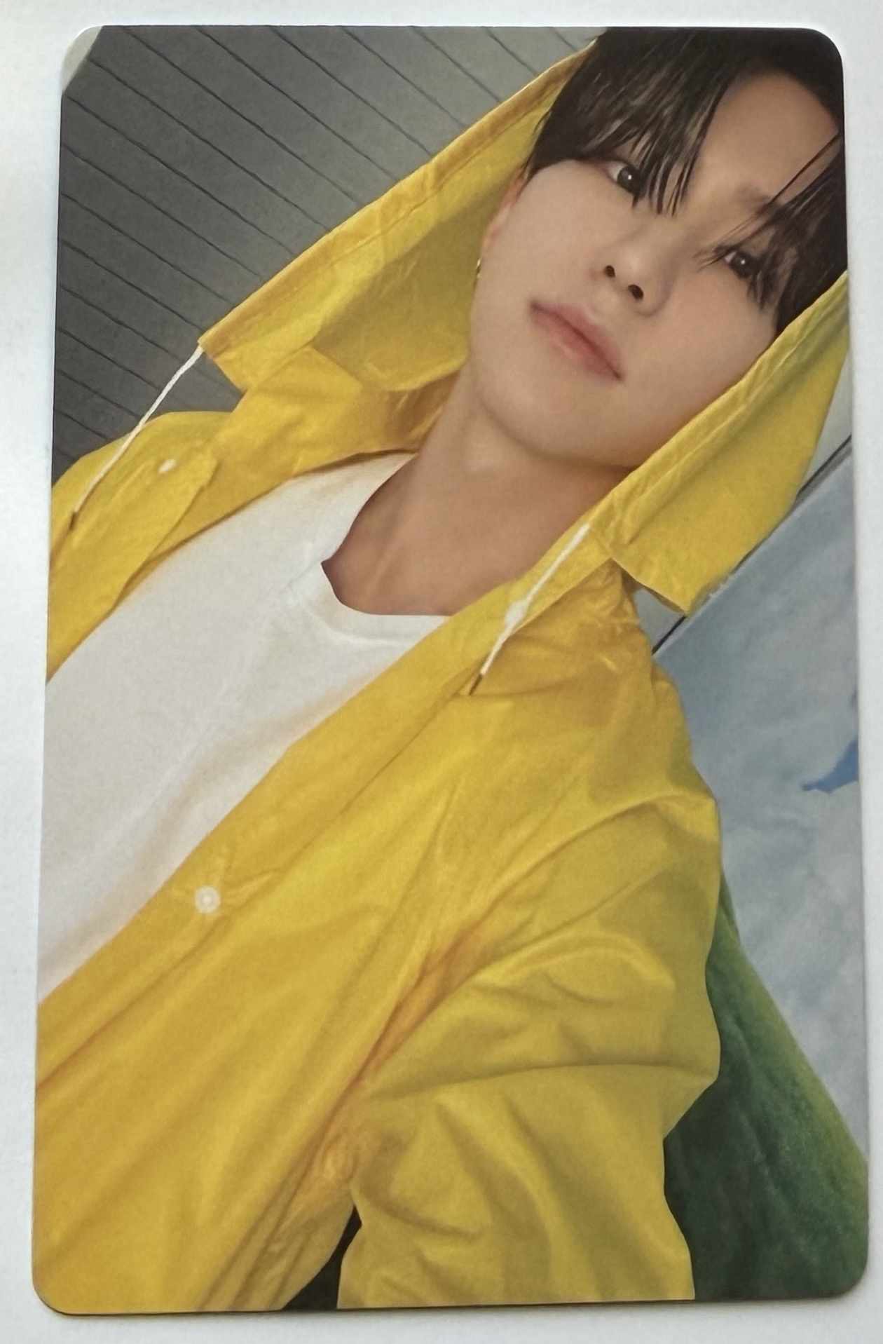 SEVENTEEN 迷11 順榮小卡