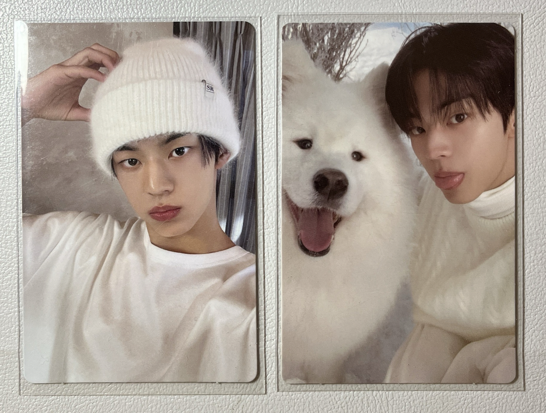 金道勳單封專卡-道勳與薩摩耶