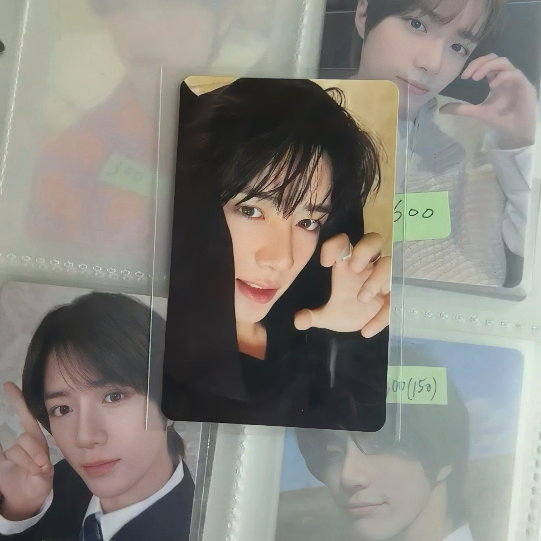 正規四虎爪滿額圭