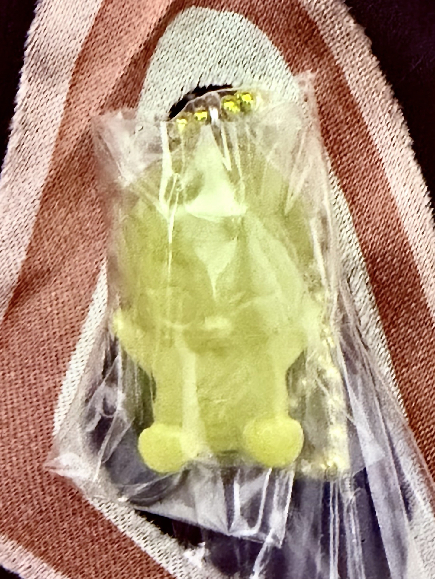 BANDAI 扭蛋盲盒 吊飾 菲 啵阿里 Bbokari（無軟糖）