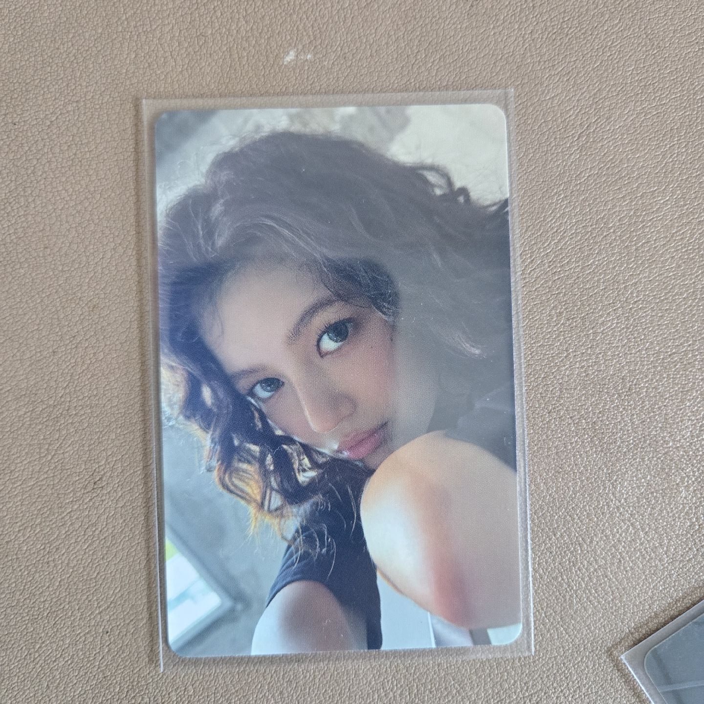 Danielle（綠背） 