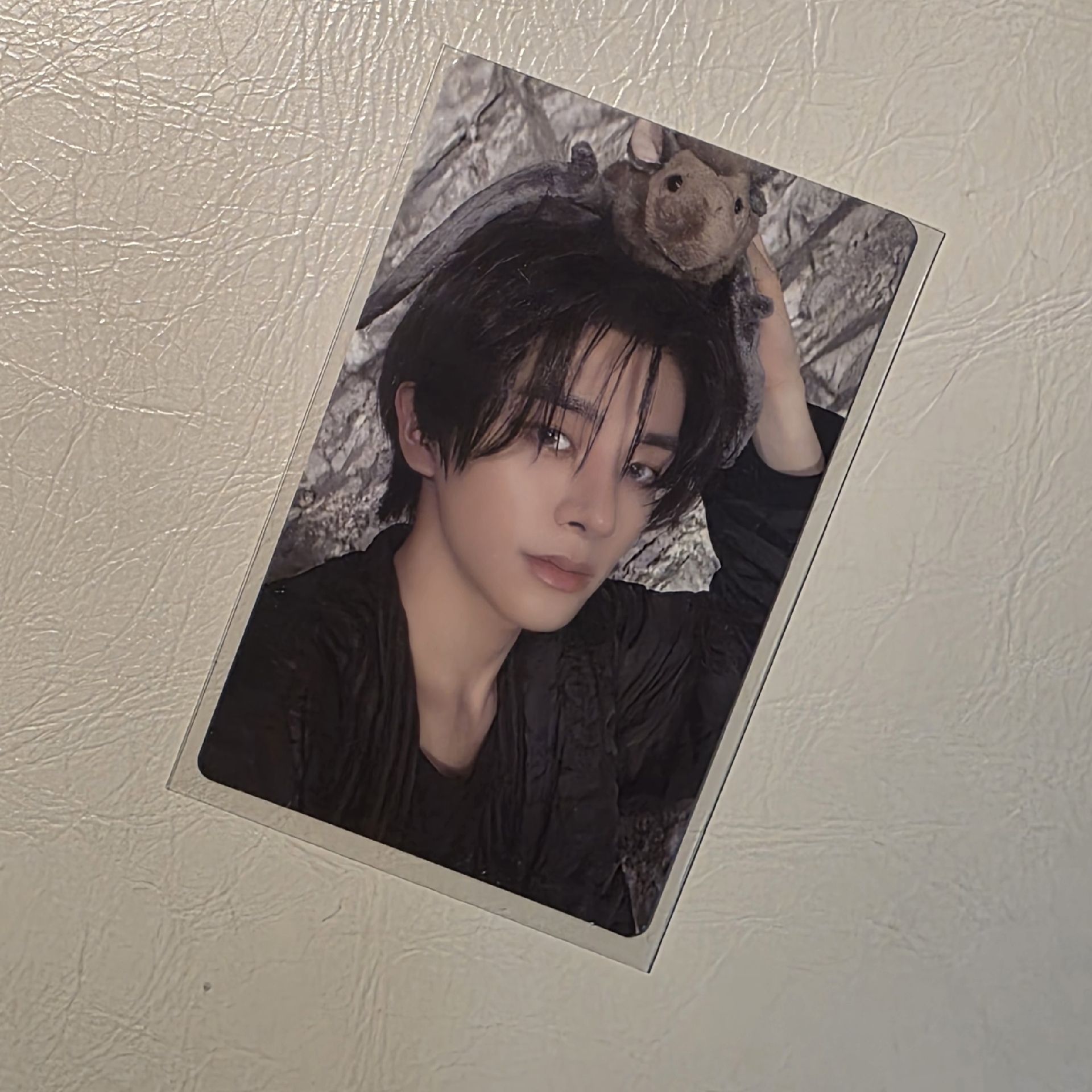 倫 迷七 專卡 蝙蝠