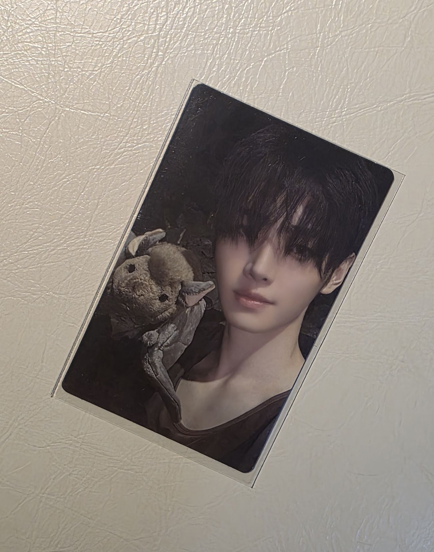 訓 迷七 專卡 蝙蝠