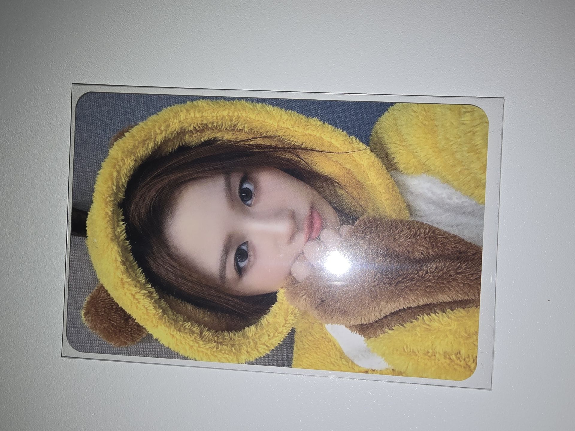 【SULLYOON】蜜蜂薛