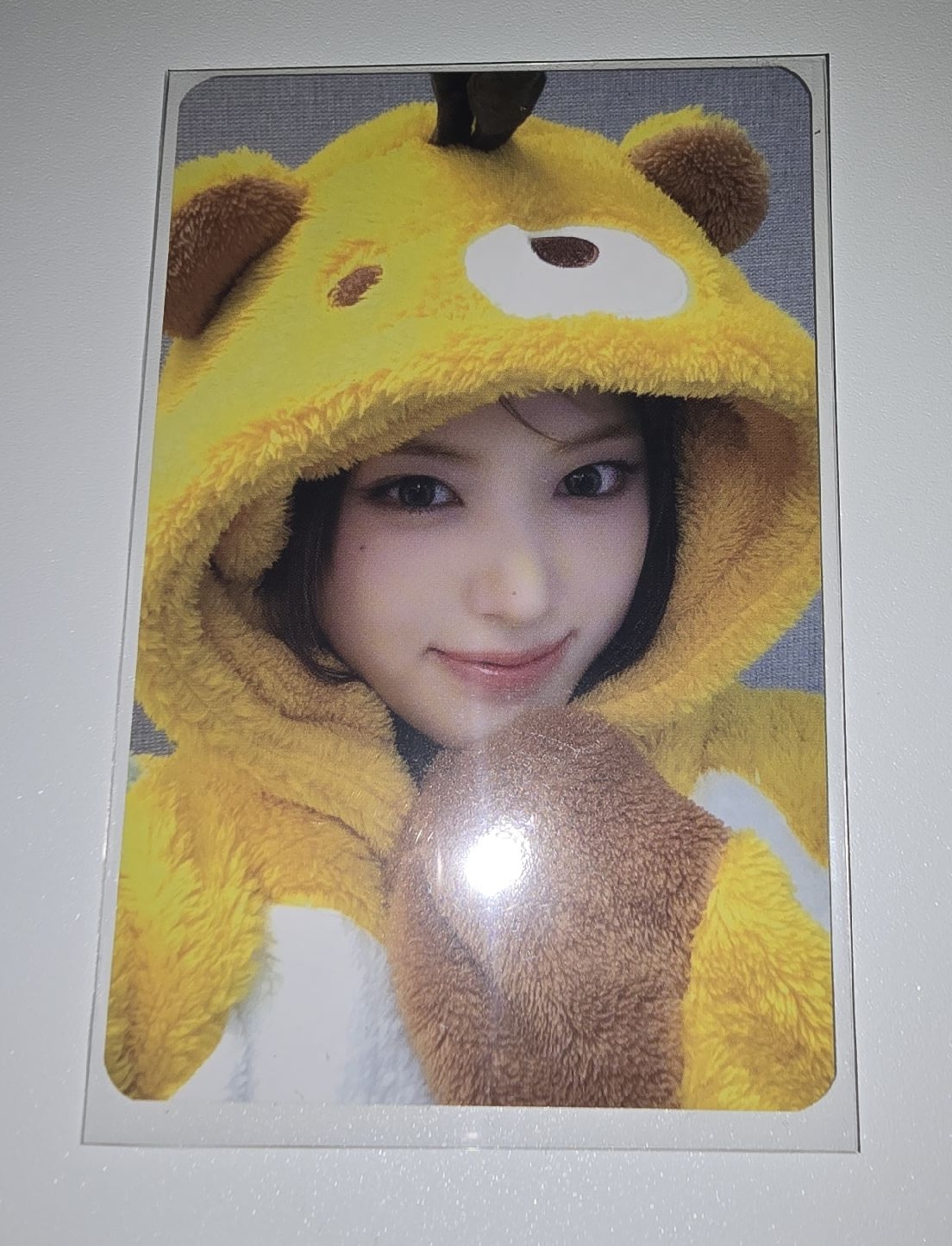 【JIWOO】蜜蜂友