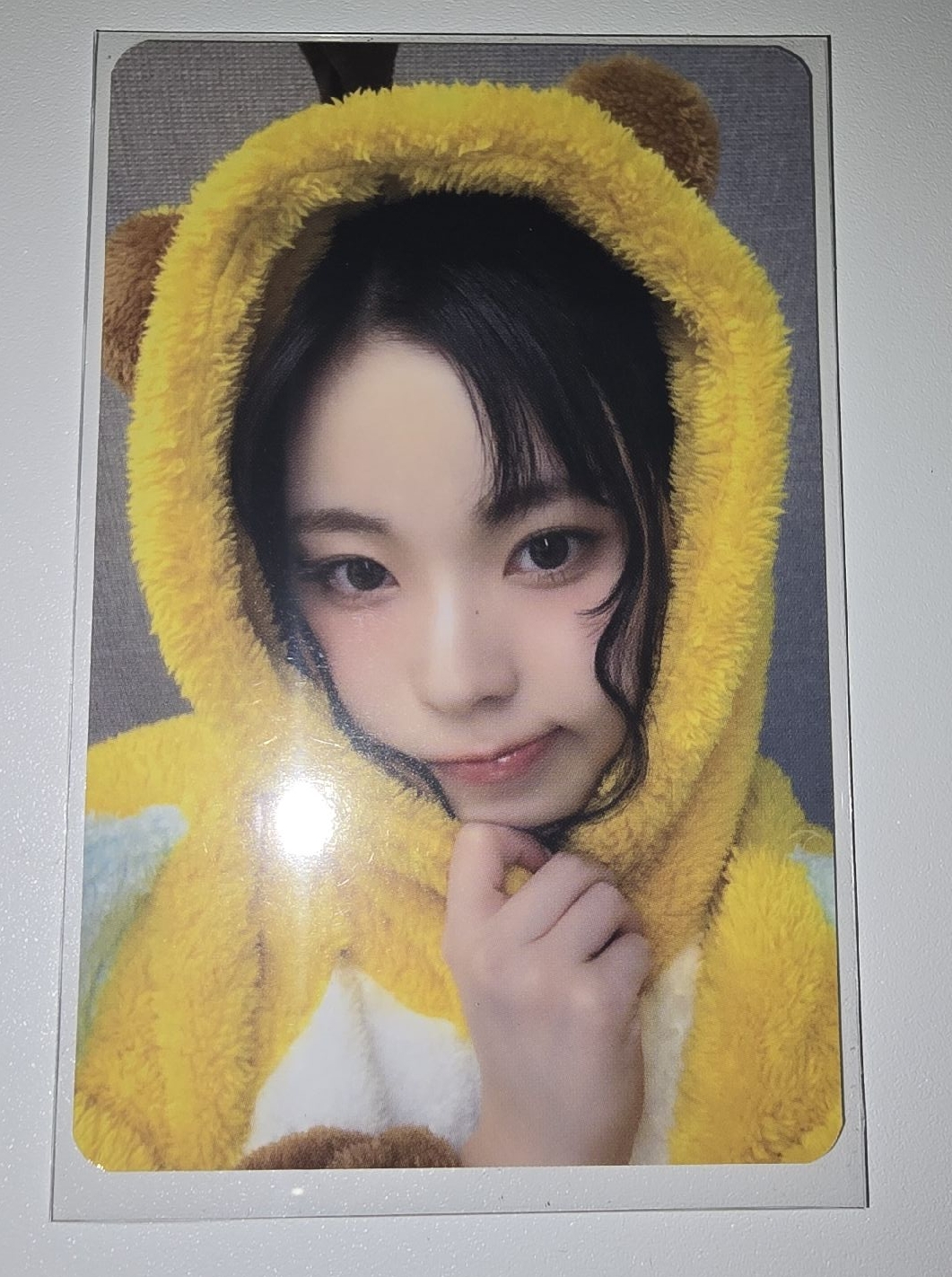 【KYUJIN】蜜蜂圭