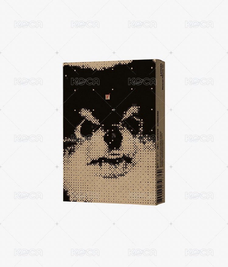 LY結 L版/layover 空專