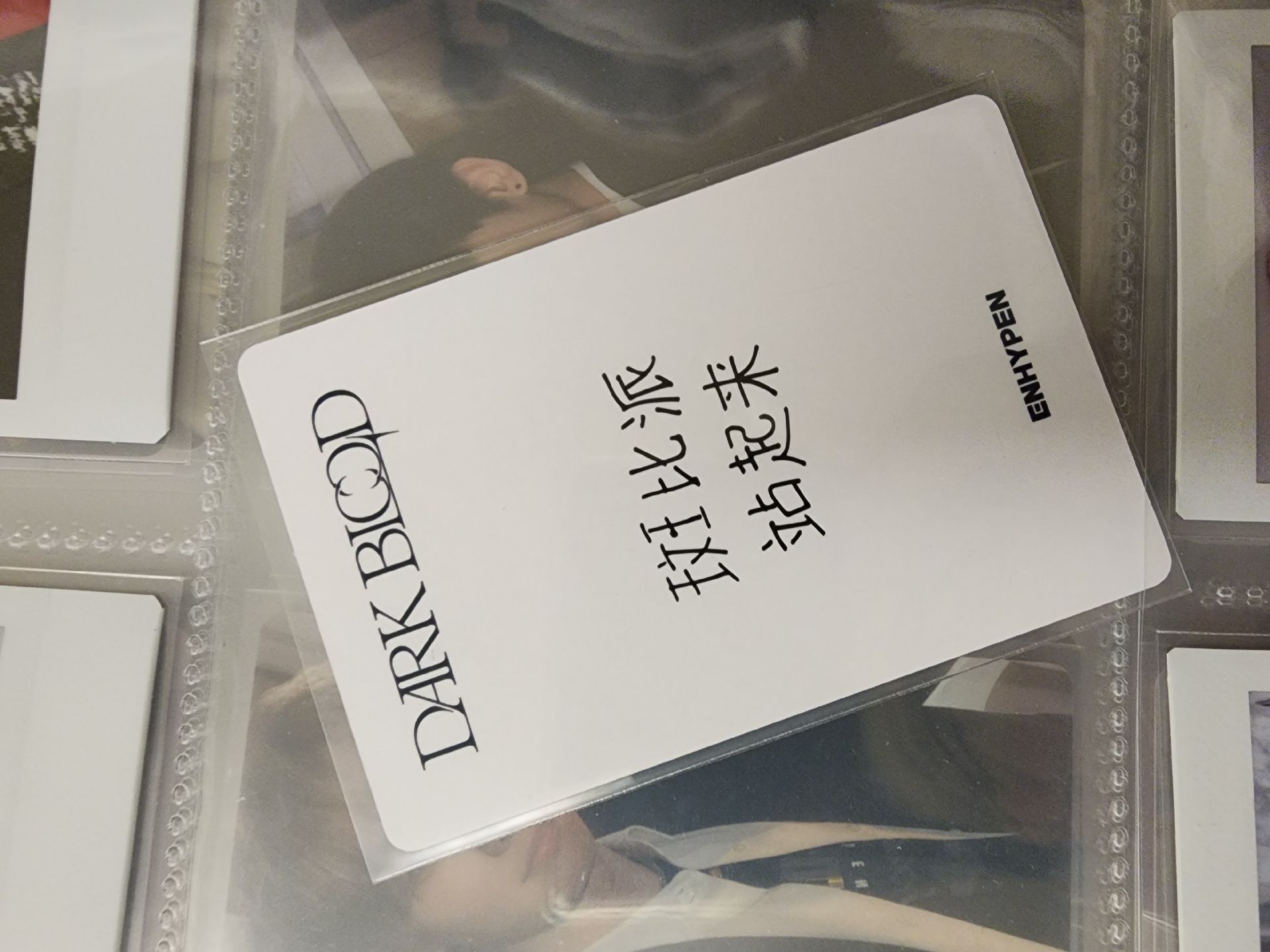 ENHYPEN 李羲承 迷五一直娛 中背