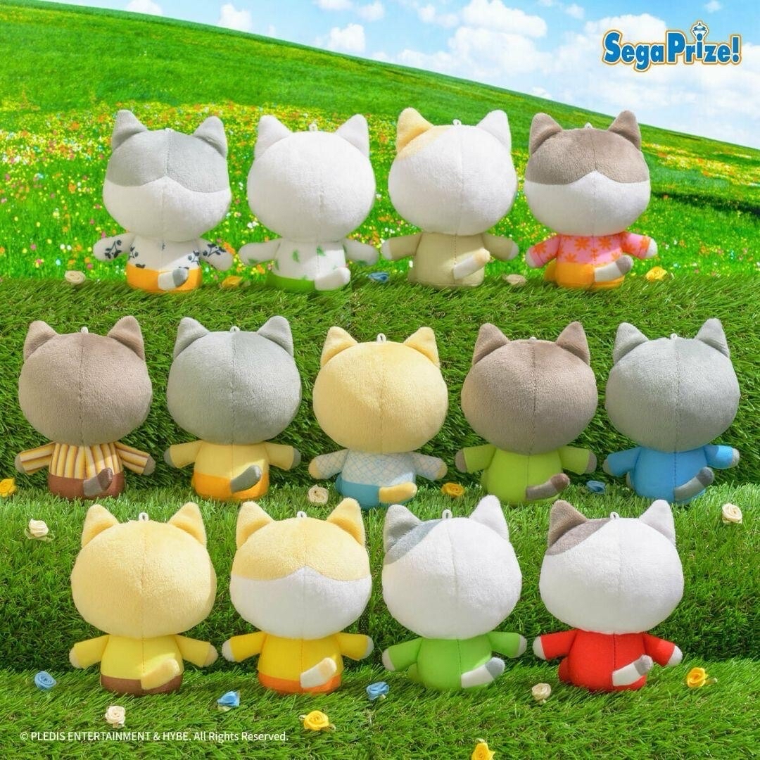 🩷svt 1st JP EP DREAM sega 貓吊飾娃娃 淨漢貓