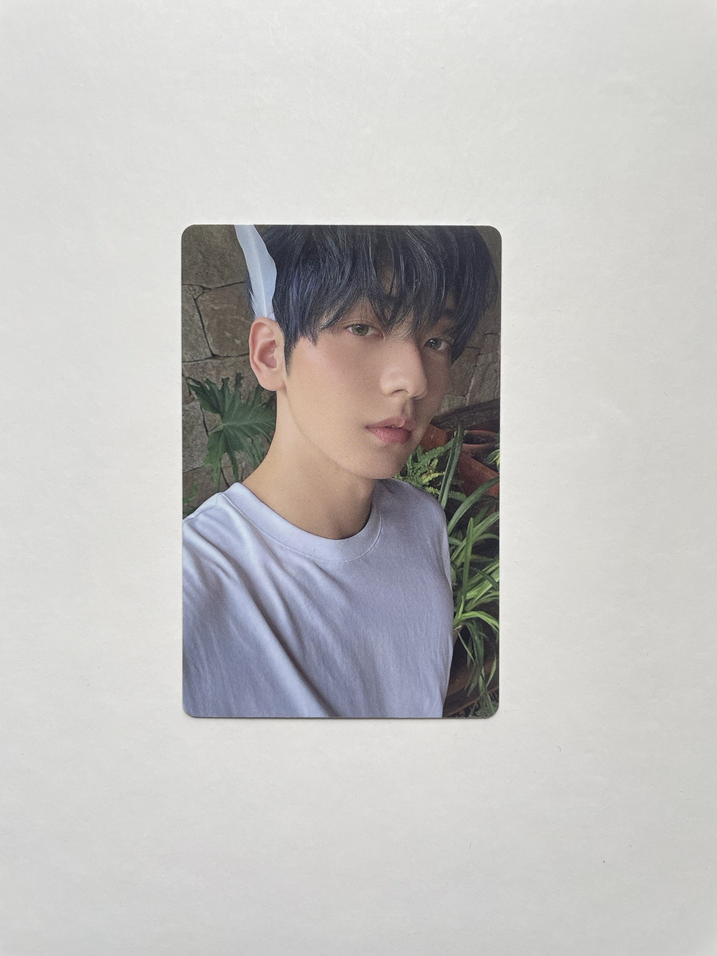 迷7 SANCTUARY 單封版Angel 專卡 秀彬