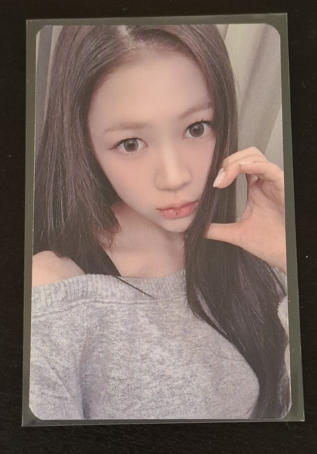 FOCUS IA簽售 YE-ON