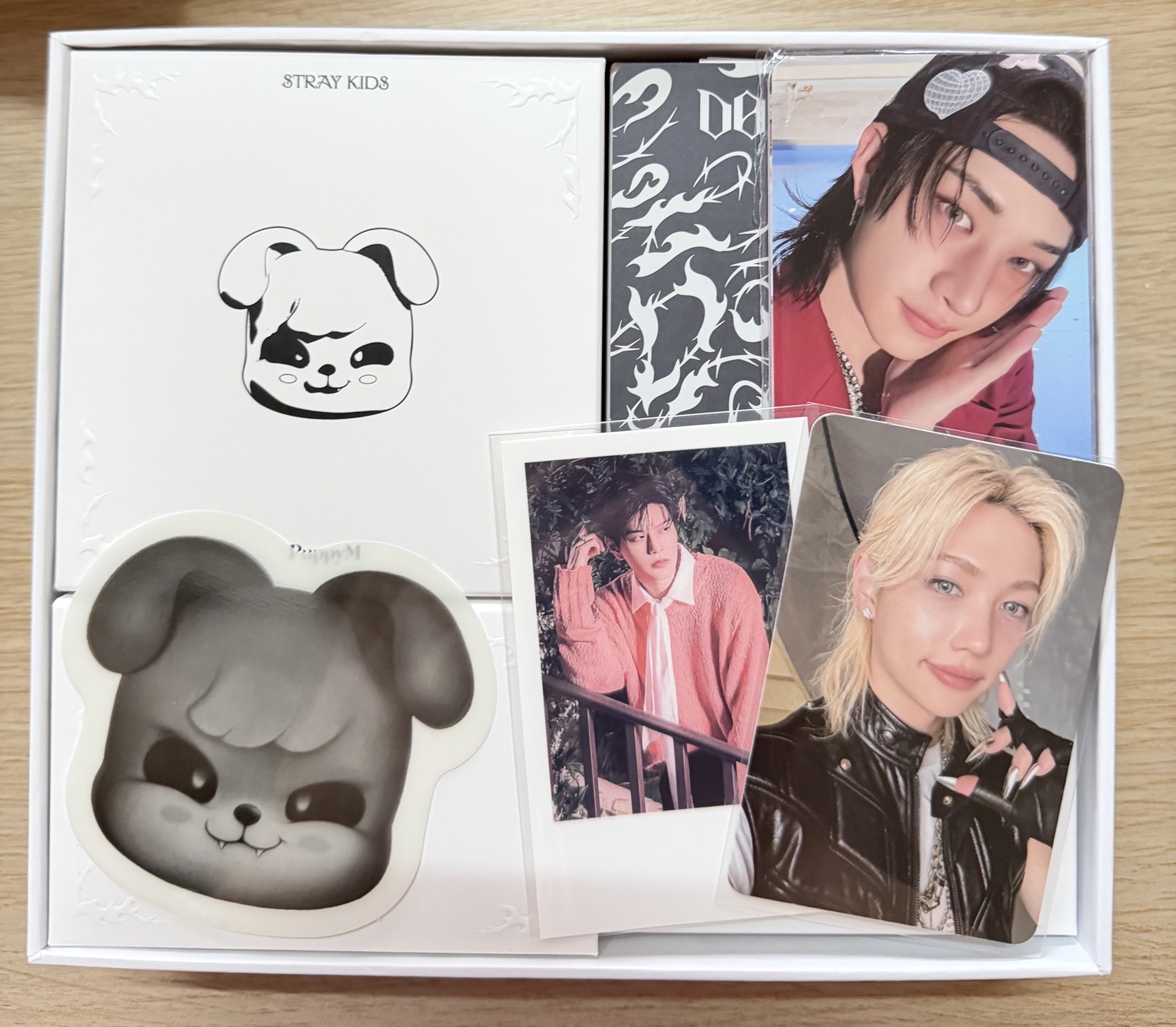 音響專 玟音響菲卡玟拍立得