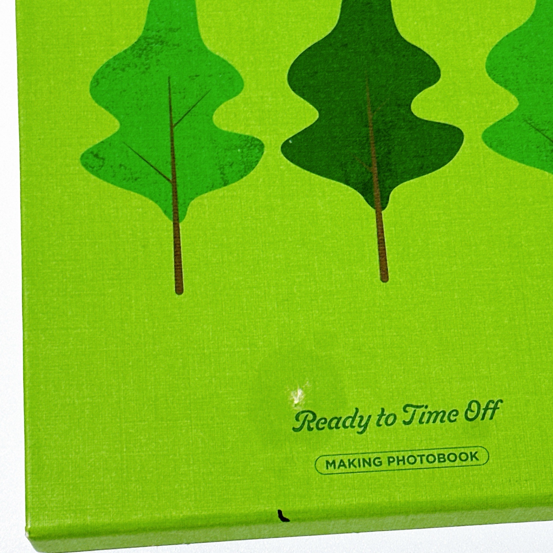 Seventeen in the soop2寫真