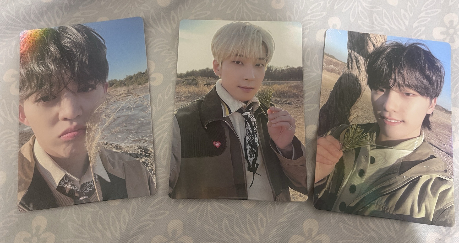 正四 WVS特典立牌