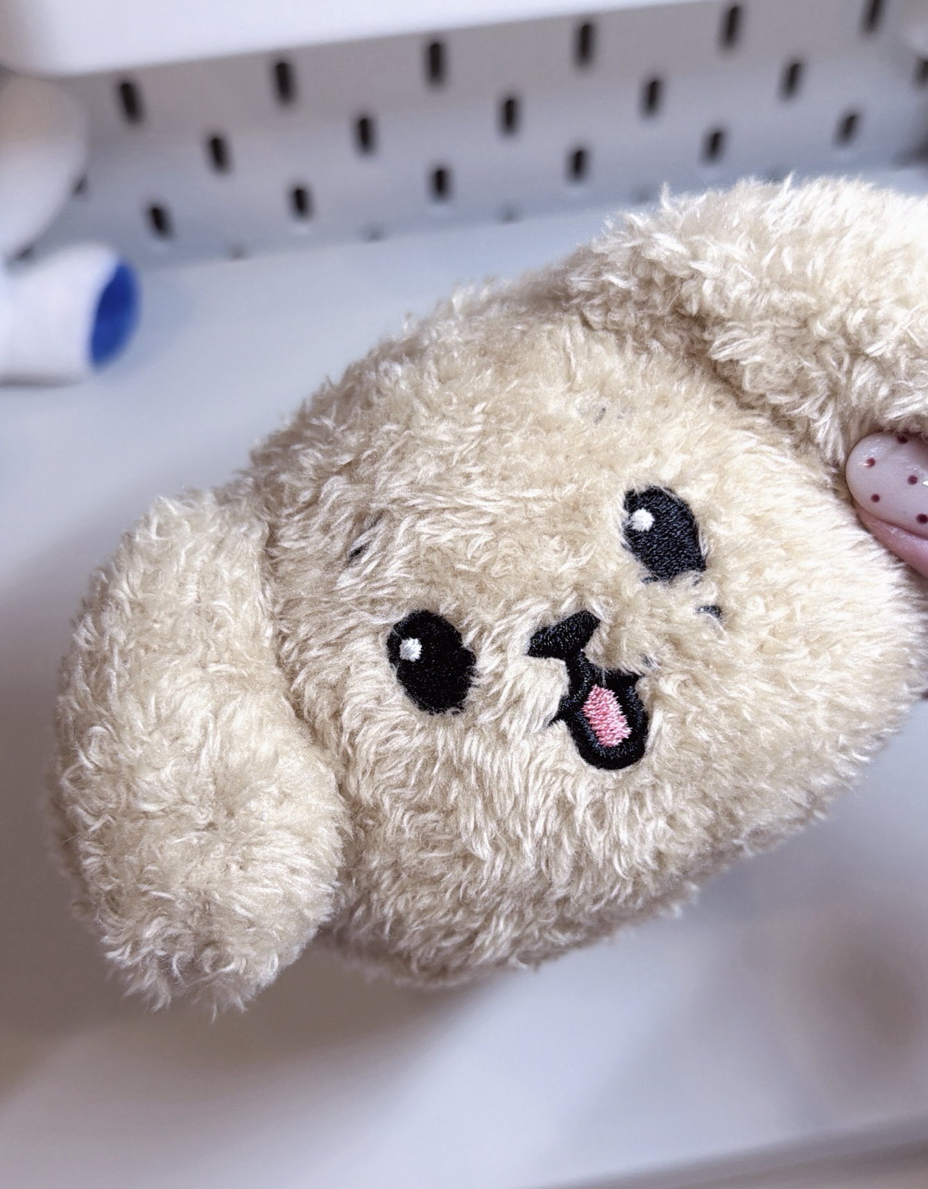 ㄴ𝖣𝖮𝖠 零 錢 包 （ 請 看 資 訊 欄