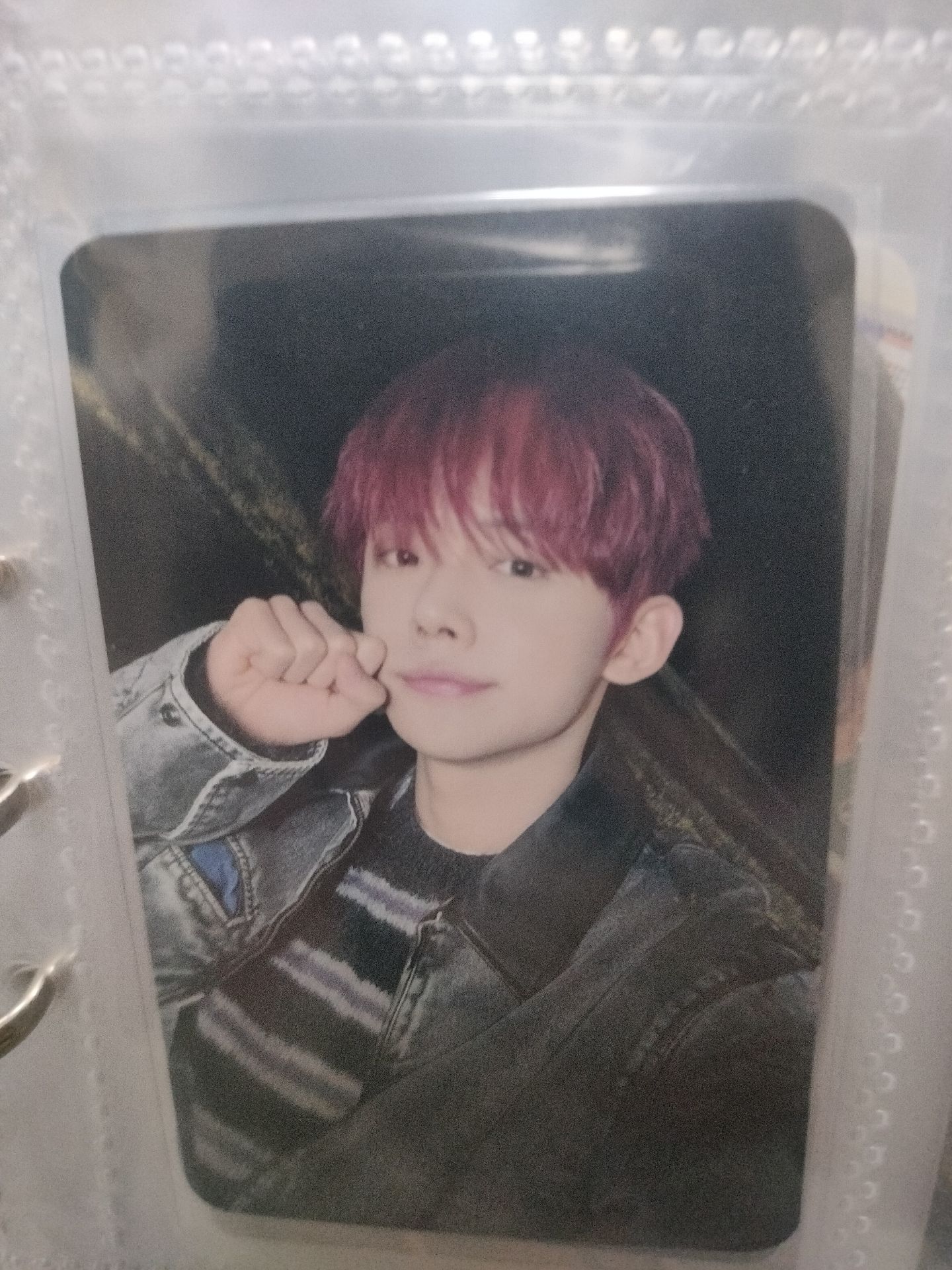 竣中背我是moa的moa是我的