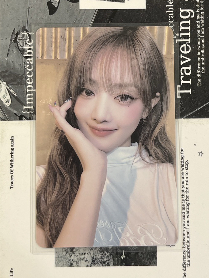 正規二 kms 8.0 v1妮