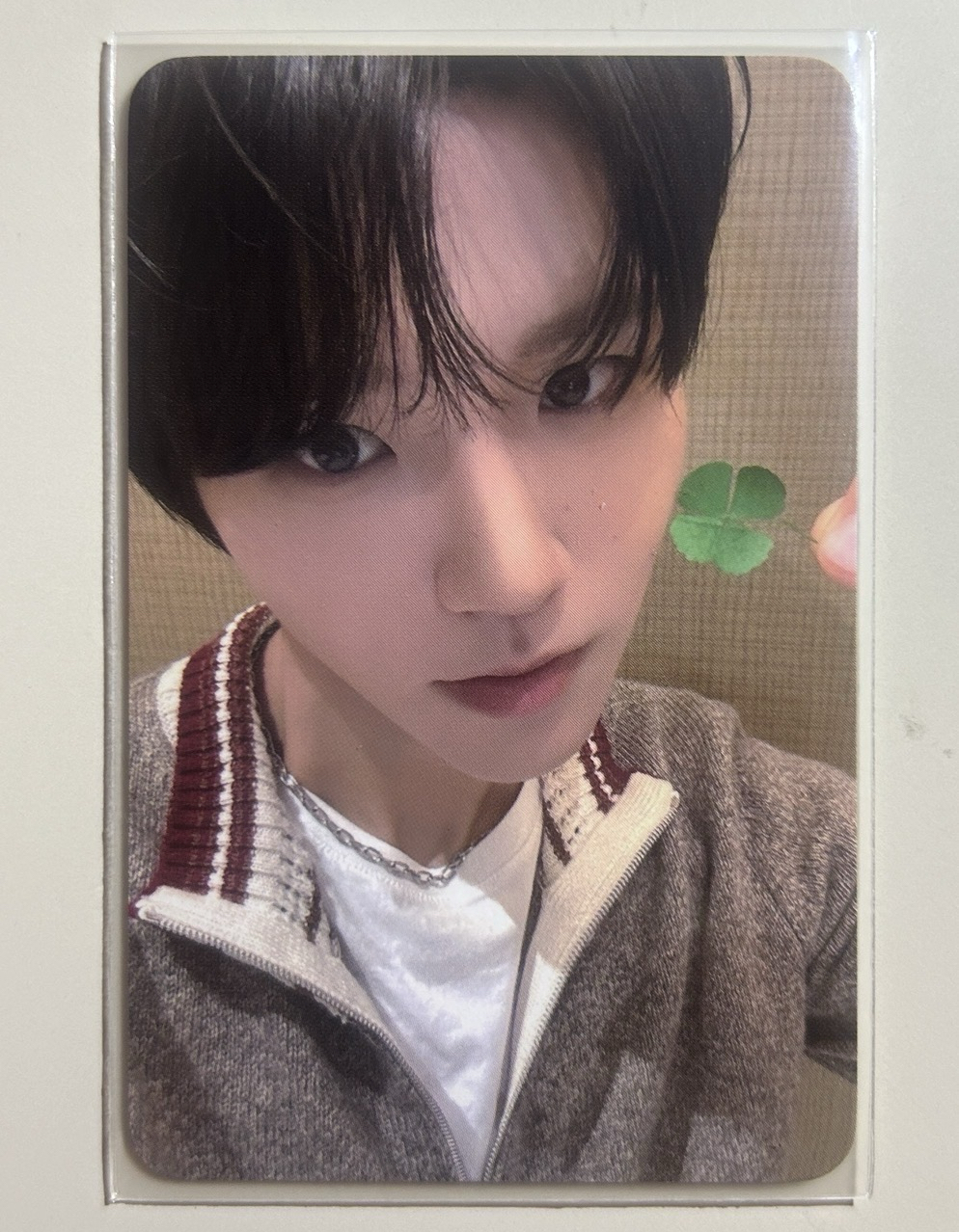 幸運草樹 一卡一專