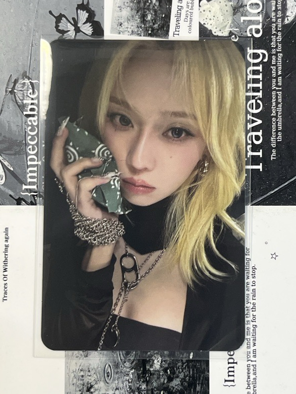 正規一 專輯卡 poster冬