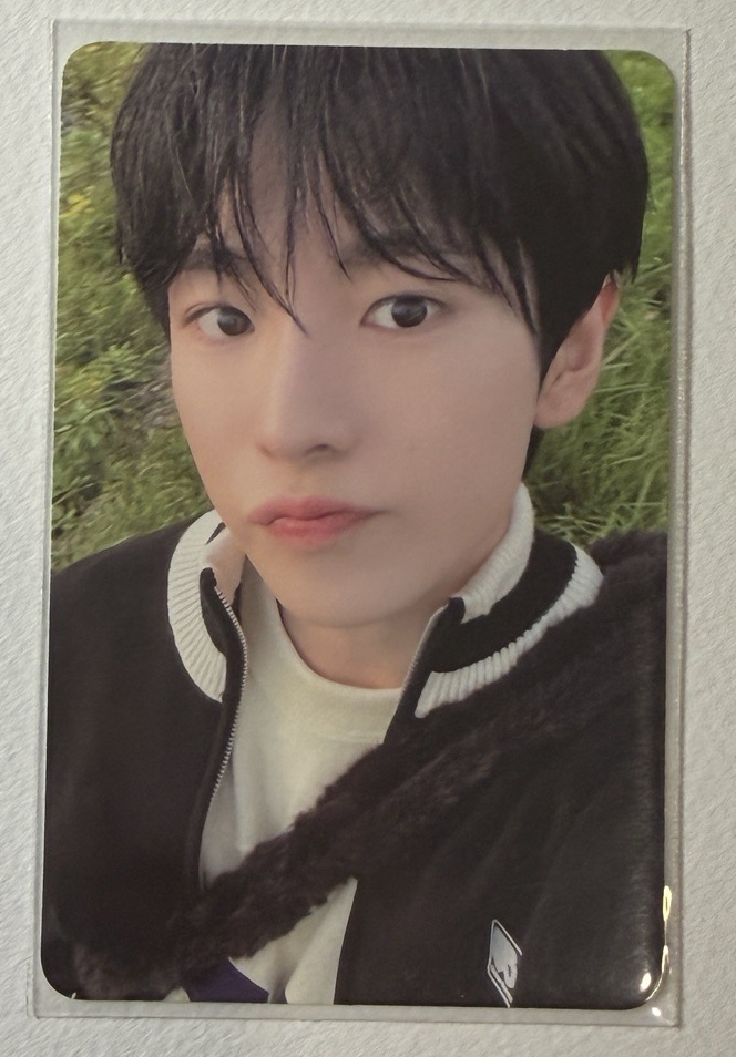 Steady 隨機卡 YUSHI