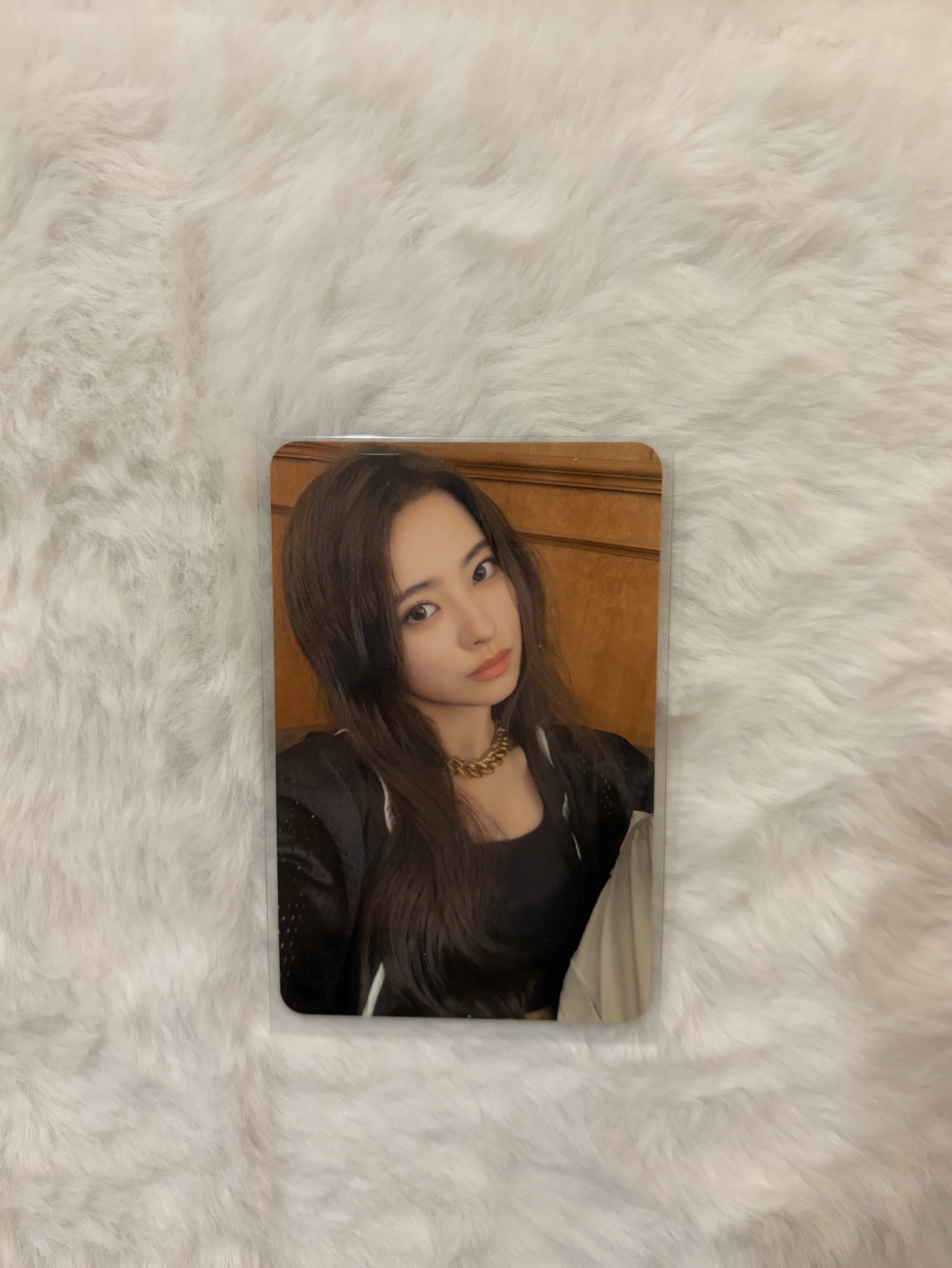 喵鐵盒卡/學生證卡